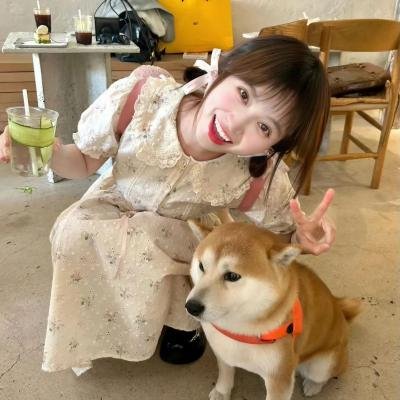 琥珀青龙国语